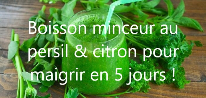 Boisson au persil et au jus de citron pour maigrir en 5 jours ! - Reussir En Famille, Des chroniques, des conseils, des ateliers pour des relations plus épanouies en famille ! Ensemble Pour Une Famille Heureuse