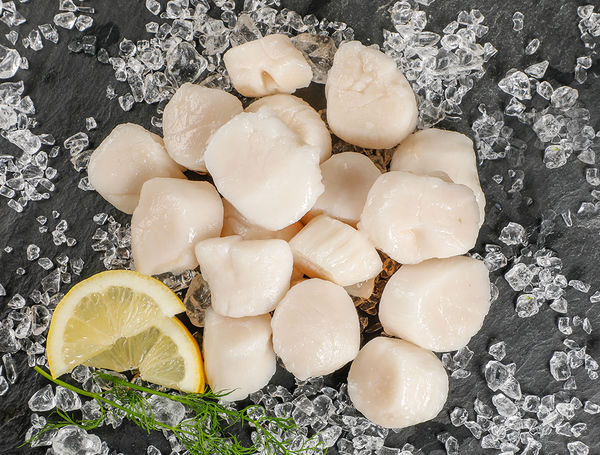 Noix de Saint-Jacques grillées avec salsa méditerranéenne à la tomate en 5 minutes !